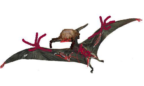 pterosaur.jpg