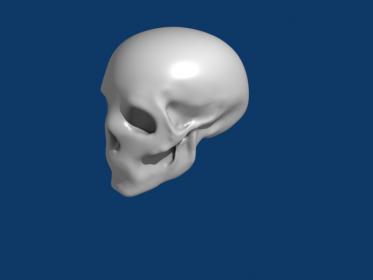 skull.jpg